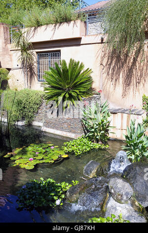 Dekorative Becken Anduze Bambusgarten im asiatischen Stil zeigen viele Bambusarten Stockfoto