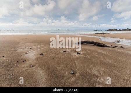 Strand von Manuel Antonio Nationalpark, Costa Rica Stockfoto