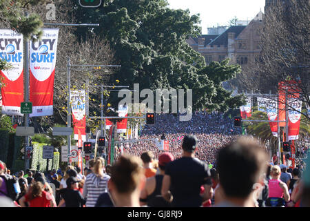 Sydney, Australien. 14. August 2016. Etwa 80.000 Menschen werden voraussichtlich am City2Surf-Rennen in Sydney teilgenommen haben. Die 14-Kilometer-Rennen nimmt Läufer vom Hyde Park im Zentrum Stadt zum Bondi Beach. Manche Leute tun die Abfahrt in Fancy Dress Kostüme. Im Bild: College Street zu Beginn des Rennens. Bildnachweis: Richard Milnes/Alamy Live-Nachrichten Stockfoto