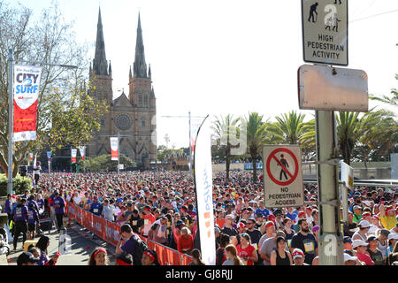 Sydney, Australien. 14. August 2016. Etwa 80.000 Menschen werden voraussichtlich am City2Surf-Rennen in Sydney teilgenommen haben. Die 14-Kilometer-Rennen nimmt Läufer vom Hyde Park im Zentrum Stadt zum Bondi Beach. Manche Leute tun die Abfahrt in Fancy Dress Kostüme. Im Bild: Läufer erwarten für den Start ihrer Gruppe an der College Street. Bildnachweis: Richard Milnes/Alamy Live-Nachrichten Stockfoto