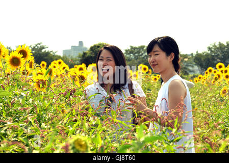 Zama, Japan. 13. August 2016. Besucher gehen auf Samstag, 13. August 2016 in einem Feld von Sonnenblumen auf dem Zama-Sonnenblumen-Festival in Zama in der Präfektur Kanagawa. Sommerurlauber genießen Sie einige 450.000 Sonnenblumen im Feld im Sommer Ferienzeit. Kredite: Yoshio Tsunoda/AFLO/Alamy Live-Nachrichten Stockfoto