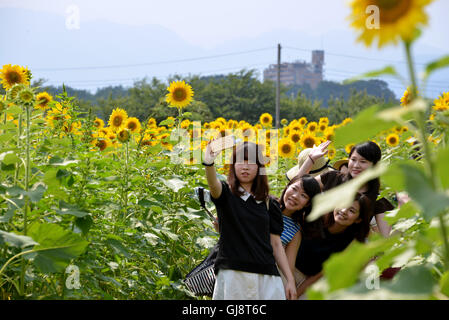 Zama, Japan. 13. August 2016. Besucher gehen auf Samstag, 13. August 2016 in einem Feld von Sonnenblumen auf dem Zama-Sonnenblumen-Festival in Zama in der Präfektur Kanagawa. Sommerurlauber genießen Sie einige 450.000 Sonnenblumen im Feld im Sommer Ferienzeit. Kredite: Yoshio Tsunoda/AFLO/Alamy Live-Nachrichten Stockfoto