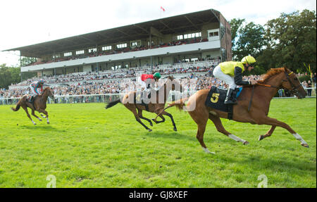 Hoppegarten, Deutschland. 14. August 2016. Während der Preis von Friedenau an neben der 126. Grosser Preis von Berlin in Hoppegarten, Deutschland, 14. August 2016 Rennpferde. Foto: Jörg CARSTENSEN/Dpa/Alamy Live News Stockfoto