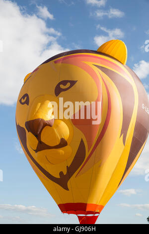 Bristol, UK, 14. August 2016, Longleat Safari Park Ballon an der Bristol International Ballon Fiest Credit: Keith Larby/Alamy Live News Stockfoto