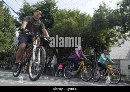 Mexiko-Stadt, Mexiko-Stadt, MX. 14. August 2016. Für jede Woche eines Morgens regieren Menschen auf dem Fahrrad und zu Fuß die Straßen von Mexiko-Stadt. Die offizielle Muévete En Bici (Bewegung mit dem Fahrrad) Veranstaltung seit 2008 geht aber war vor kurzem auf ausgeweitet, 35 Meilen (55 km) der Straßen der Stadt. © Joel Alvarez/ZUMA Draht/Alamy Live-Nachrichten Stockfoto