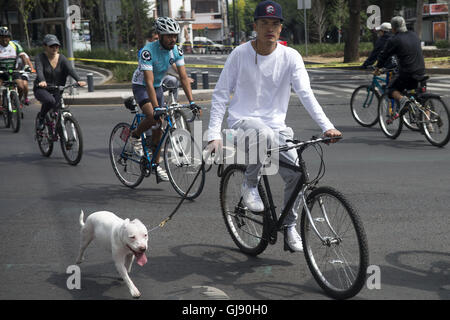 Mexiko-Stadt, Mexiko-Stadt, MX. 14. August 2016. Für jede Woche eines Morgens regieren Menschen auf dem Fahrrad und zu Fuß die Straßen von Mexiko-Stadt. Die offizielle Muévete En Bici (Bewegung mit dem Fahrrad) Veranstaltung seit 2008 geht aber war vor kurzem auf ausgeweitet, 35 Meilen (55 km) der Straßen der Stadt. © Joel Alvarez/ZUMA Draht/Alamy Live-Nachrichten Stockfoto