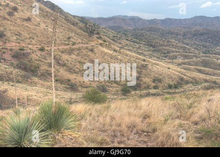 Ruby Road, Santa Cruz co., Arizona, USA. Stockfoto