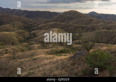 Atascosa Berge Berge von Ruby Road, Santa Cruz co., Arizona, USA. Stockfoto