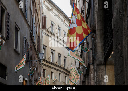 Die Flaggen der Contrade, säumen die Straßen in Siena, Toskana, Italien Stockfoto