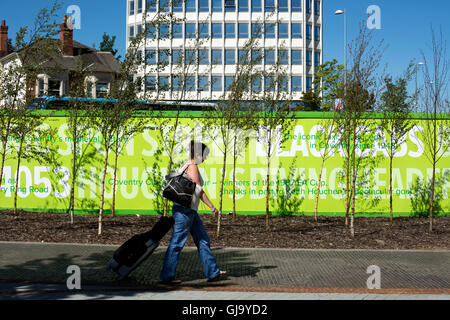 Bäume gepflanzt in Friargate Neubaugebiet, Coventry, UK Stockfoto