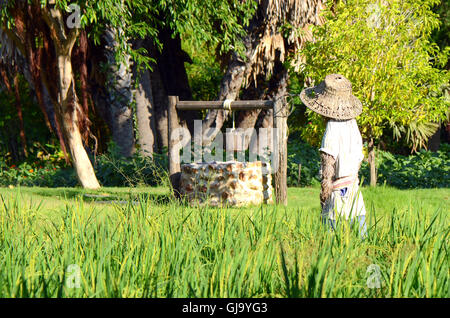 Thai Farmer Lifestyle. Stockfoto