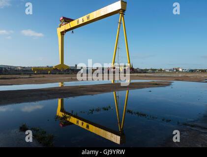 Samson und Goliath Krane im Besitz der berüchtigten Schiffsbauer Harland und Wolff, Belfast Stockfoto