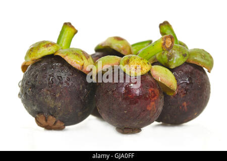 Mangostan (andere Namen sind Garcinia Mangostana, Clusiaceae, Saptree, lila Mangostan, Affe Obst, Malpighiales) Obst Isol Stockfoto