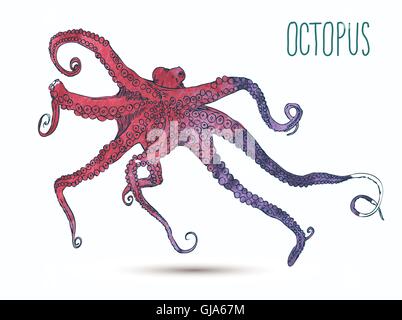 Vektor-Illustration mit Oktopus Stock Vektor