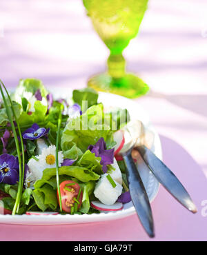 Frühlingssalat mit Blüten Stockfoto