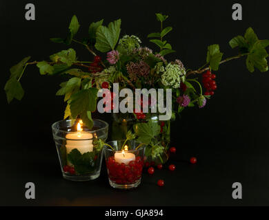 Laternen und Zweige der Johannisbeeren Stockfoto