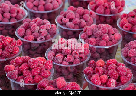 Nahaufnahme von Himbeeren in Tassen. Stockfoto