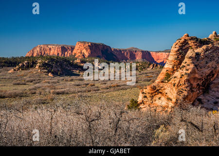 Hop-Tal, Firepit Knoll auf rechten Seite, Red Butte in Ferne, Blick vom Kolob Terrasse Road, Zion Nationalpark, Utah, USA Stockfoto