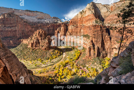 Zion Canyon in Big Bend Bereich, Blick vom Hidden Canyon Trail im späten Oktober, Zion Nationalpark, Utah, USA Stockfoto