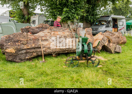 Demonstration der alten mechanischen sah bei Astle Park Zugmaschine Kundgebung am Chelford Cheshire England Stockfoto