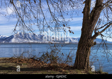 Winter am See in Kastoria, Griechenland Stockfoto