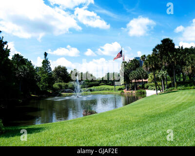 Street Art in Orlando in Florida USA Stockfoto