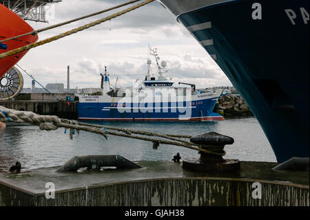 Trawler im Hafen Peterhead in Aberdeenshire, Schottland günstig. Stockfoto