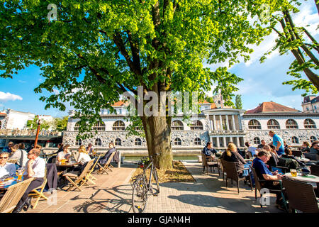 Stadt Ljubljana in Slowenien Stockfoto