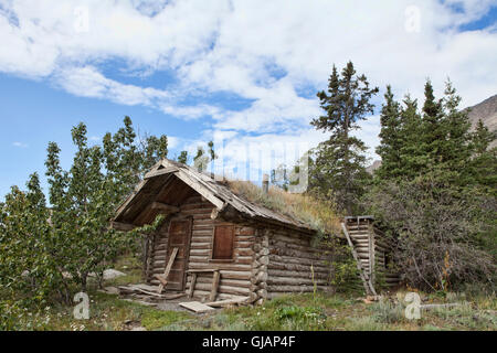 Alte verlassene Blockhütte im Yukon Territorium, Kanada an einem Sommertag. Stockfoto