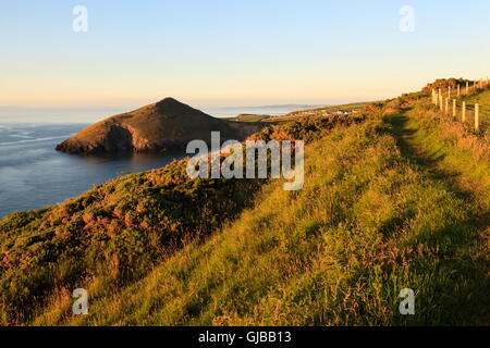 Foel Y Mwnt angesehen vom Küstenweg Ceredigion Stockfoto