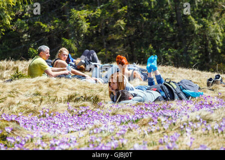 Hohe Tatra, Polen - 25. April 2015: Unidefined Touristen besuchen Chocholowska Tal. Krokus Blumen blühen im Frühjahr sind die gre Stockfoto