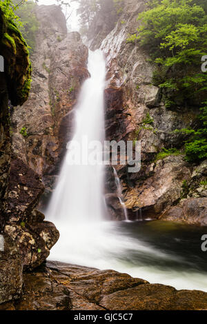 Glen Ellis fällt, Jackson, New Hampshire Stockfoto