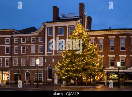 Portsmouth-Weihnachtsbaum auf dem Marktplatz, Portsmouth, New Hampshire Stockfoto