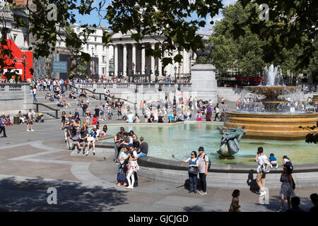 Nelson Säule Denkmal auf dem Trafalgar Square im Zentrum von London Stockfoto