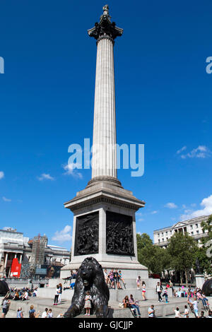 Nelson Säule Denkmal auf dem Trafalgar Square im Zentrum von London Stockfoto