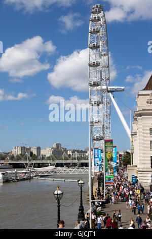 Das London Eye Riesenrad am Südufer der Themse in London UK Stockfoto