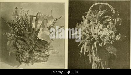 Die Floristen austauschen - eine wöchentliche Medium des Austausches für Floristen, Gärtner, Seedsmen und den Handel im Allgemeinen (1917) Stockfoto