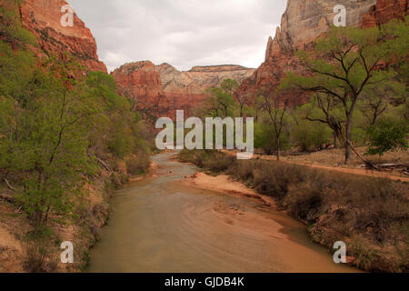 North Fork des Virgin River im Zion Nationalpark, Utah Stockfoto