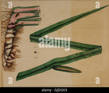 Journal of Philadelphia College of Pharmacy (1834) Stockfoto