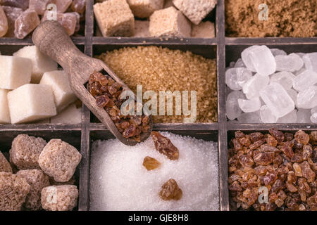 Verschiedene Zucker und Schaufel Stockfoto