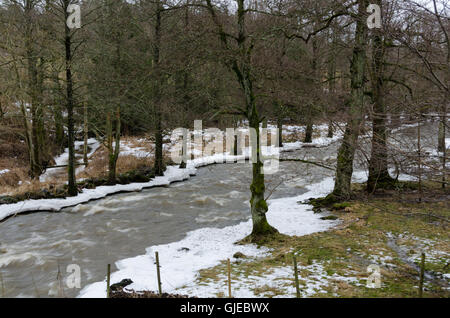 Kungsbacka Fluss mit kaltem Wasser ein grauer Tag im zeitigen Frühjahr Stockfoto