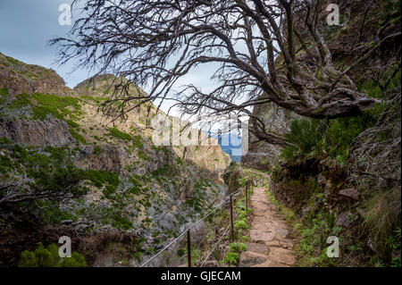 Wanderweg am Rande einer Felswand in der Nähe der Berg Pico Ruivo auf Madeira. Stockfoto