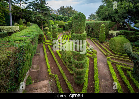 Dekorative Grünpflanzen anzeigen am Botanischen Garten in Funchal, Madeira Stockfoto