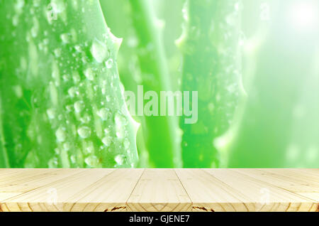 Aloe Vera Blätter Hintergrund mit Regentropfen. Stockfoto