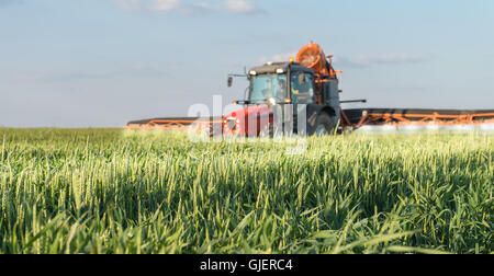 Traktor Spritzen Weizen im Frühjahr Stockfoto