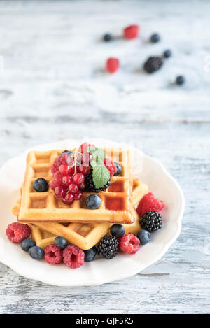 Belgien-Waffeln mit Beeren in der Platte, Tiefenschärfe und Leerzeichen Stockfoto