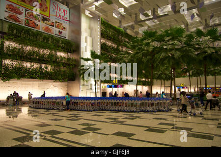 Singapur - 22. Juli 2016: Innenraum der Gepäckausgabe am Flughafen Changi. Stockfoto