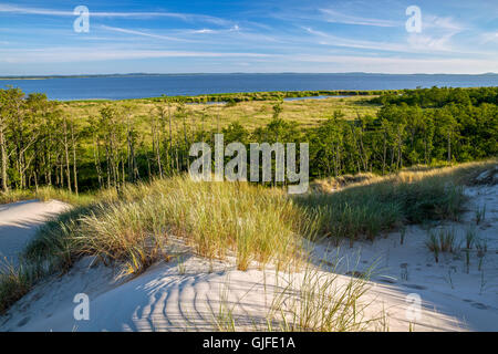 Leba, allerdings Dünen im Slowinski Nationalpark, Lebsko See, Pommern, Polen. Stockfoto