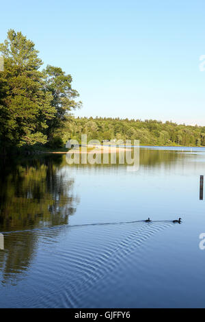 Gelobte Land Staatspark, Pike County, Pennsylvania Stockfoto