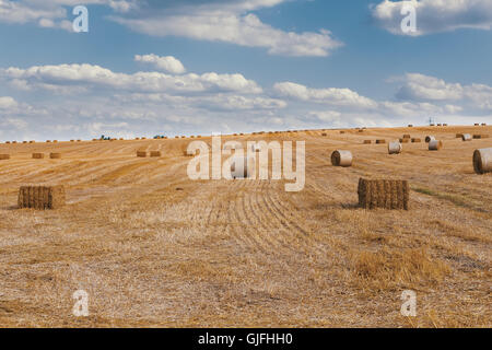 geernteten Feld mit Strohballen mit Abendsonne, Sommer Landwirtschaft Konzept, Tschechische Republik Stockfoto